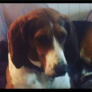 Meet your Posher, Claire